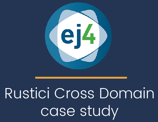 ej4 Rustici Cross Domain case study